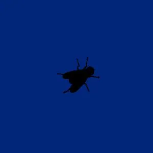 guess the movie puzzle 35