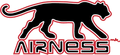 Airness logo