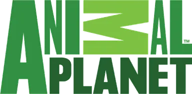 Animal Planet logo