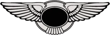 logo quiz battle puzzle 55