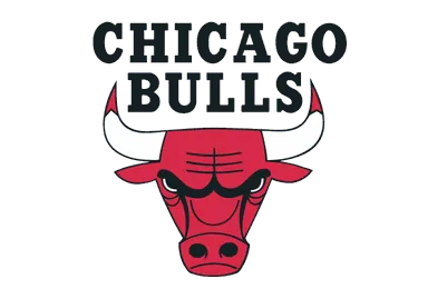 Chicago Bulls logo