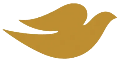 logo quiz battle puzzle 3