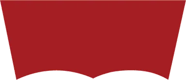 logo quiz battle puzzle 2