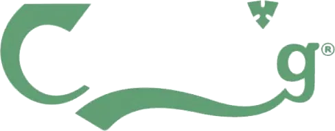 logo quiz puzzle 17