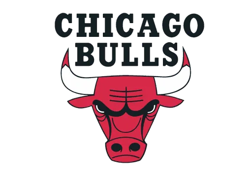 Chicago Bulls logo