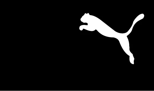 logo quiz puzzle 12