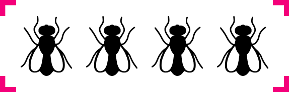 think puzzle 6