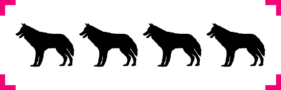 think puzzle 1
